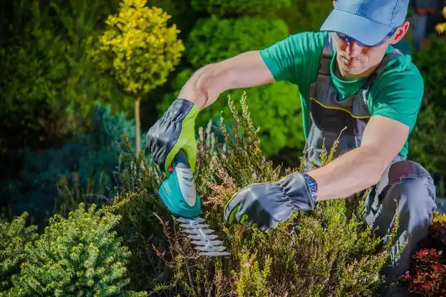 landscaping services Polkville